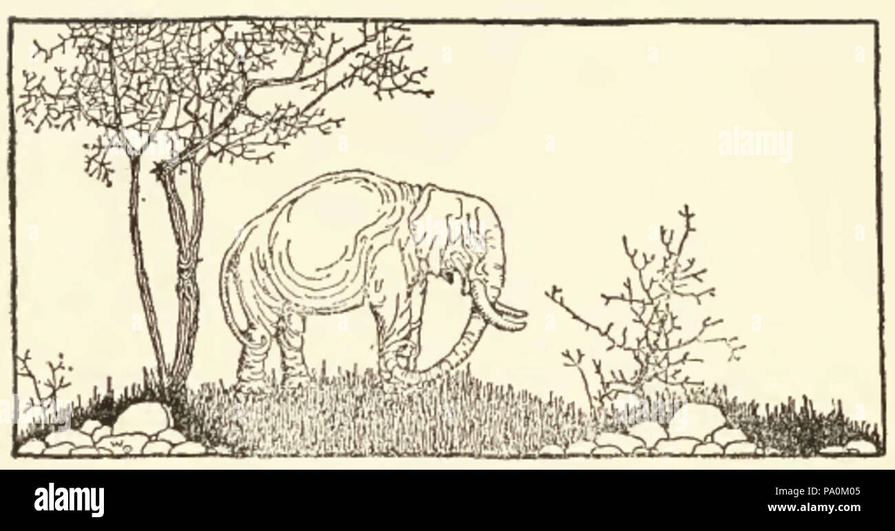 614 Elefant Zeichnung Stockfoto