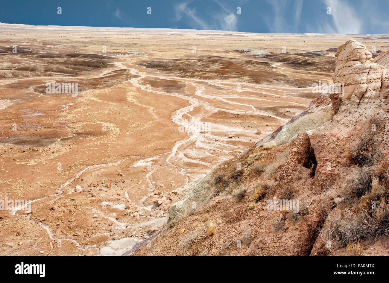 Petrified Forest National Park, Blue Mesa, Arizona Stockfoto