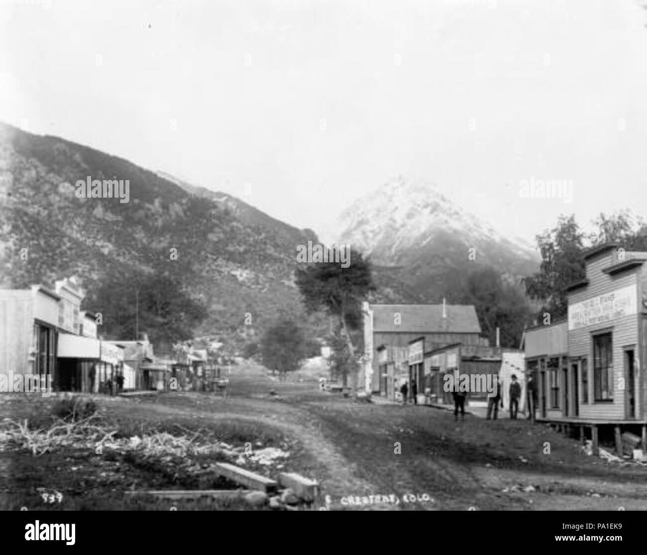 687 Galena 1901 Stockfoto