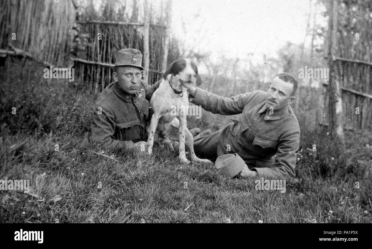 652 Erster Weltkrieg, Hund, Männer, Uniform, Garten Fortepan 12622 Stockfoto