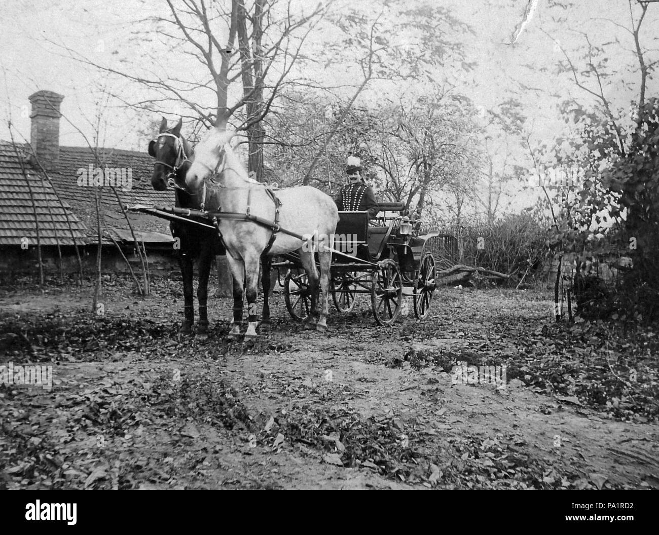 283 Schlitten, Trainer, Pferd, Kutscher, Herbst Fortepan 2324 Stockfoto