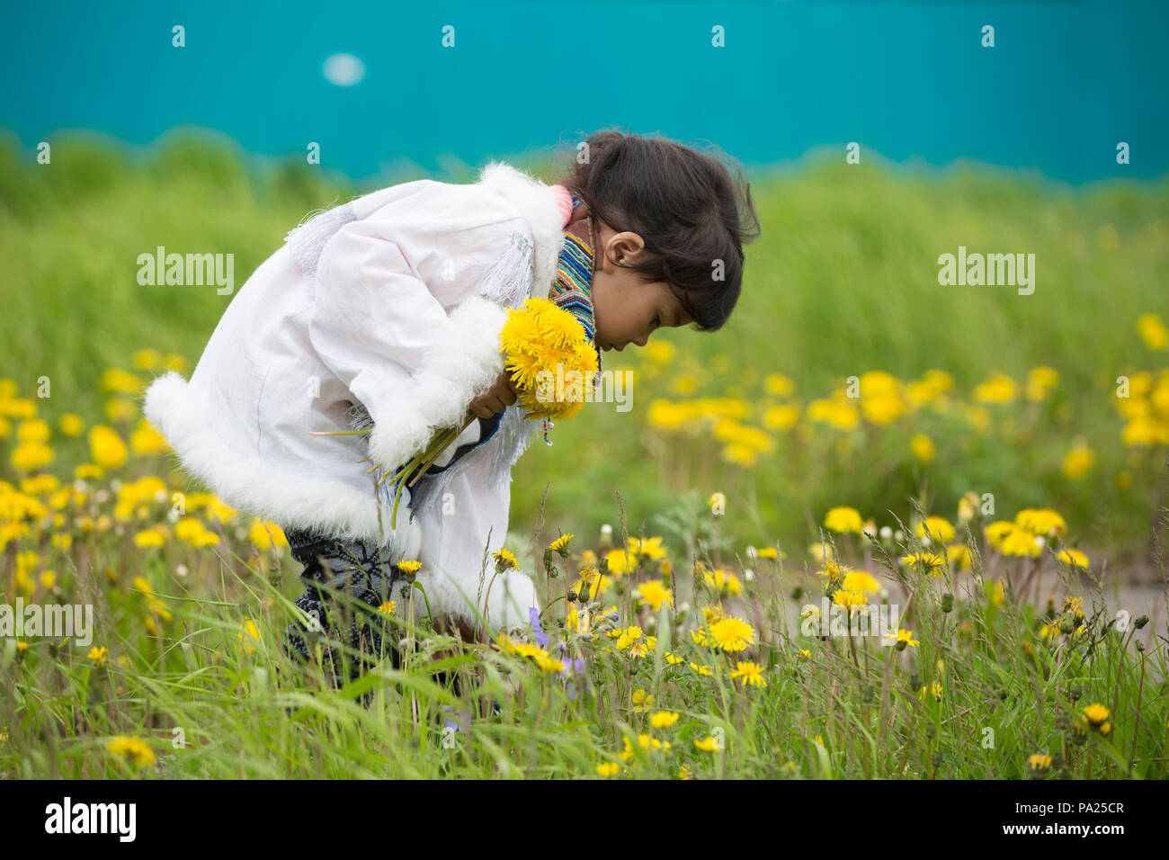 Junge Mädchen Blumen pflücken in Okhotsk, Russland Stockfoto