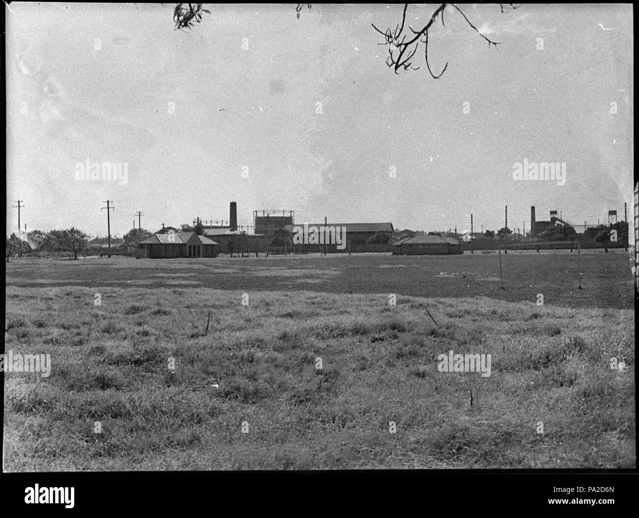259 SLNSW34518 Hockey Field National Park Stockfoto