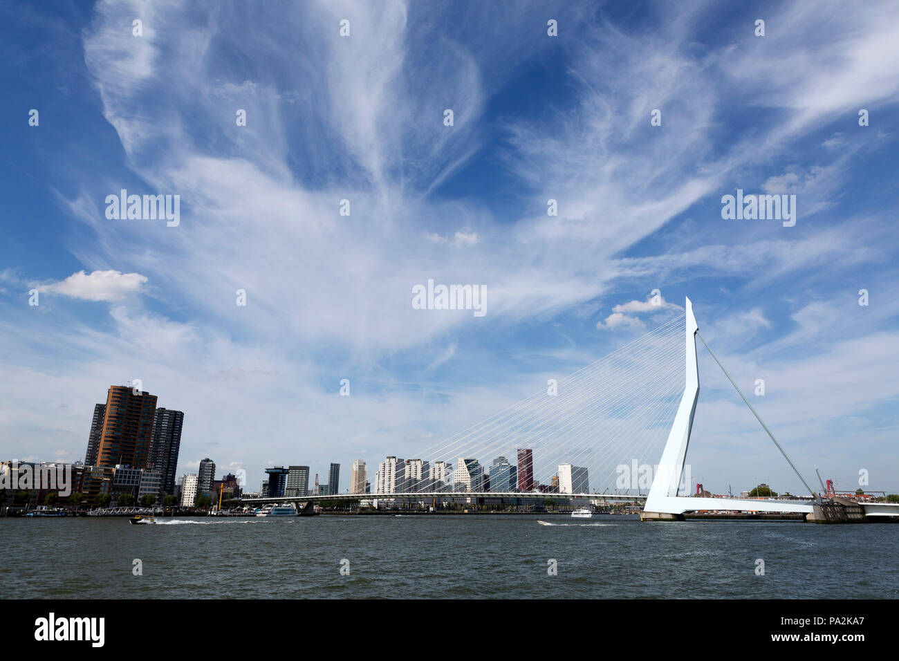 Der Erasmus Brücke überquert die Neue Maas (Nieuwe Maas), Fluss in Rotterdam in den Niederlanden. Die Brücke wurde von Ben van Berkel entworfen und in 19 geöffnet Stockfoto