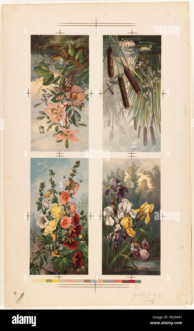 665 Vier Gruppen von Blumen auf einem Blatt von der Boston Public Library Stockfoto