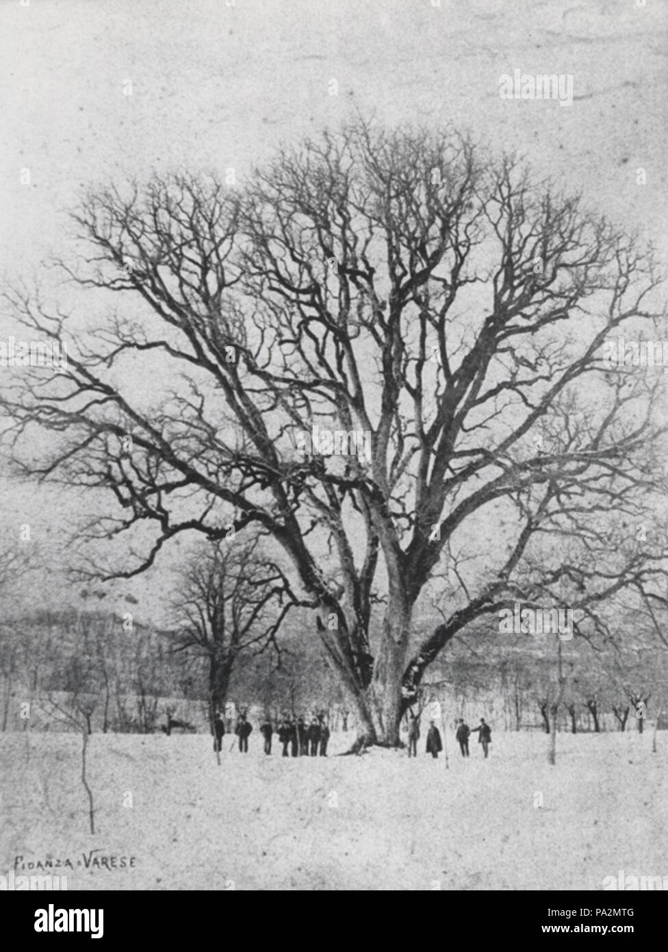 185 Noce di Brinzio Stockfoto