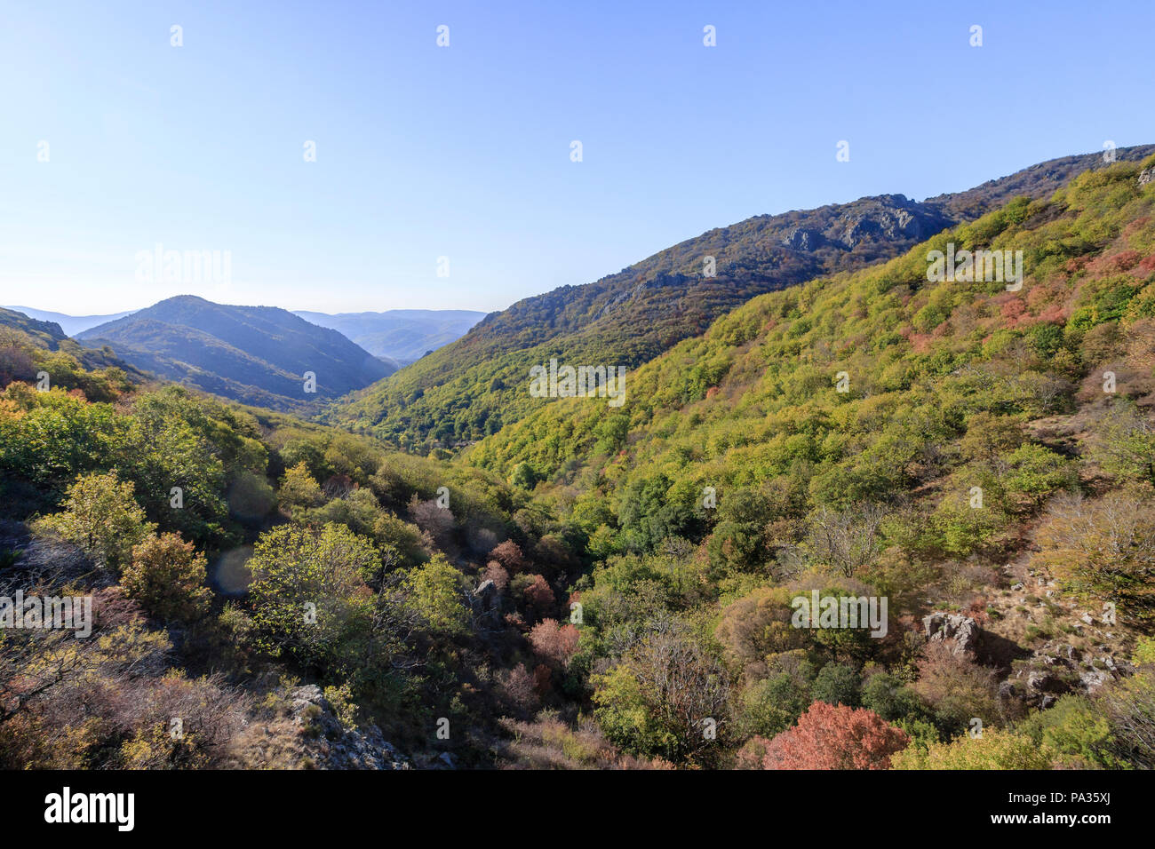 Frankreich, Herault, Haut Languedoc Regionale Naturpark, Fraisse sur Agout, Gemeinde Somail Berg, Landschaft // Frankreich, Hérault (34), Stockfoto