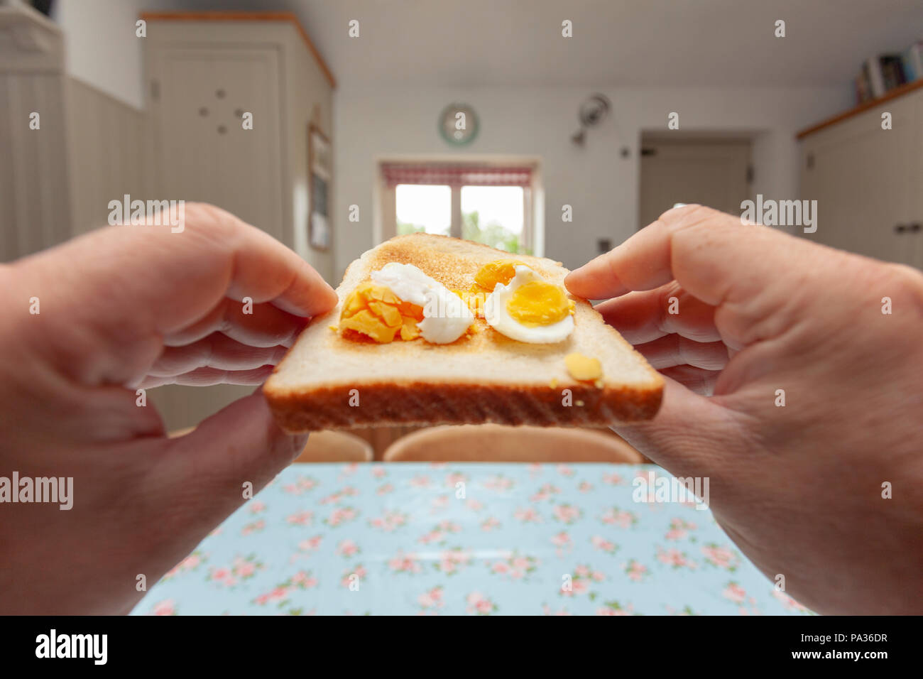 Eine Person, die ein Stück Brot mit frischen hart gekochte Ei mit Weiß und Gabel auf dem Weg zu der Personen Mund Stockfoto