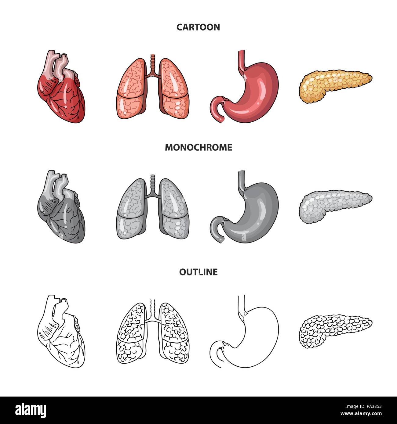 Herz, Lunge, Magen, Bauchspeicheldrüse. Menschliche Organe set Sammlung Icons im Cartoon, Outline, Schwarzweiß-Stil vektor Symbol lieferbar Abbildung. Stock Vektor