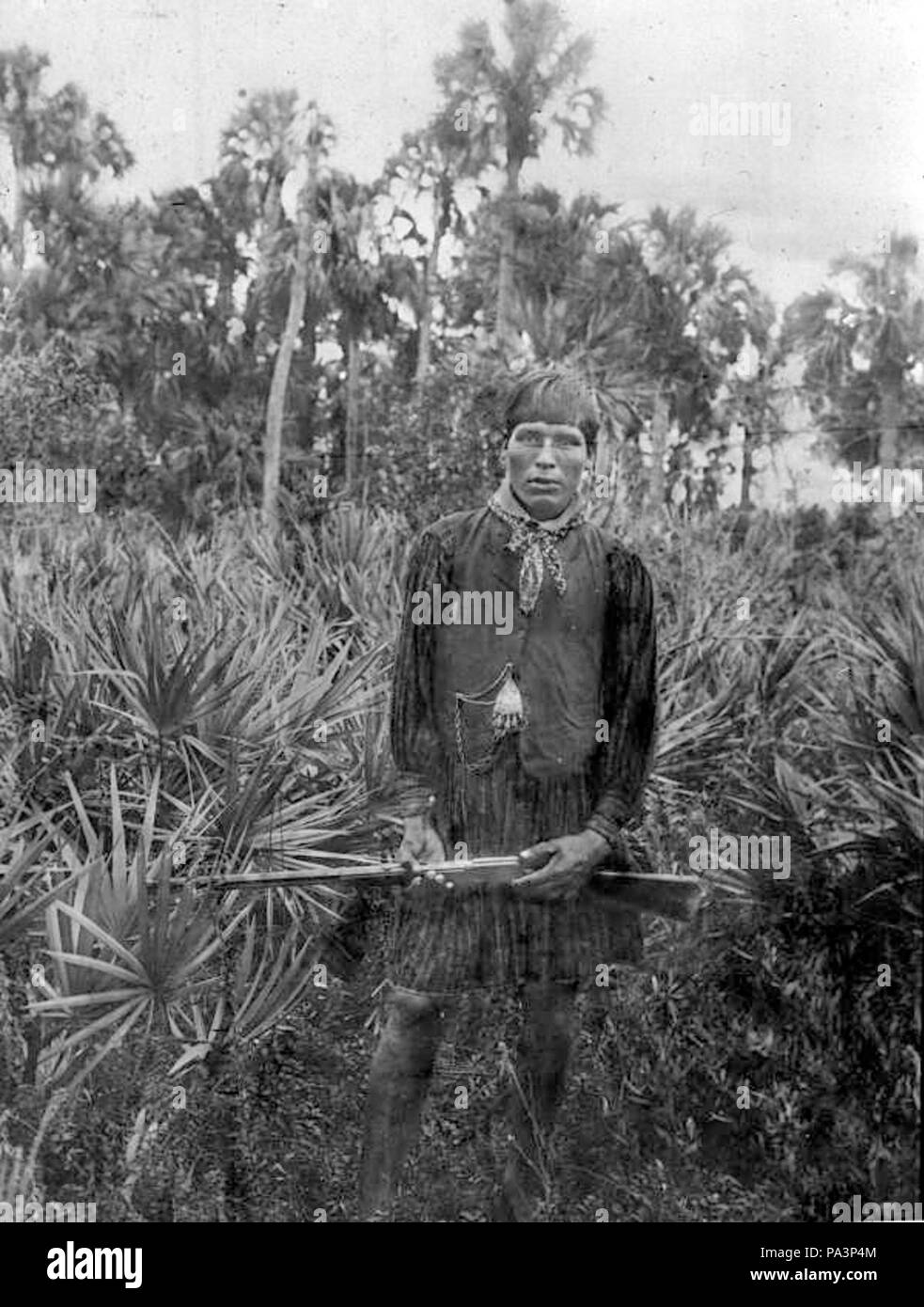 301 Charley Cypress Seminole Everglades Stockfoto