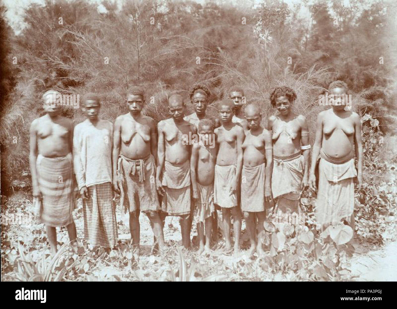 Papua frauen -Fotos und -Bildmaterial in hoher Auflösung – Alamy