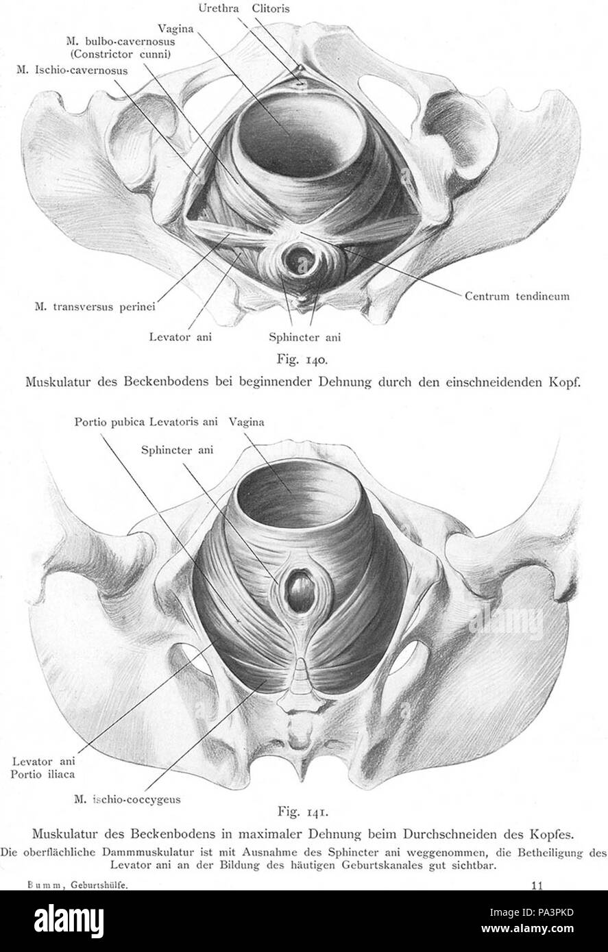257 Bumm 140 lg Stockfoto