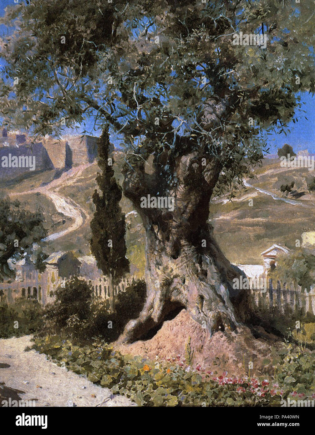 Oliven baum malerei -Fotos und -Bildmaterial in hoher Auflsung  Alamy