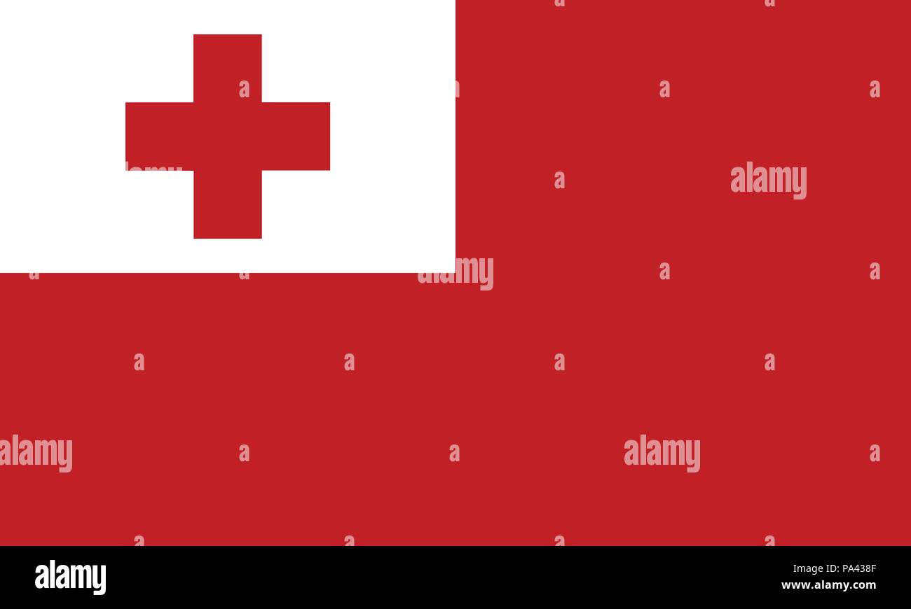 Ausführliche Darstellung der nationalen Flagge Tonga Stock Vektor