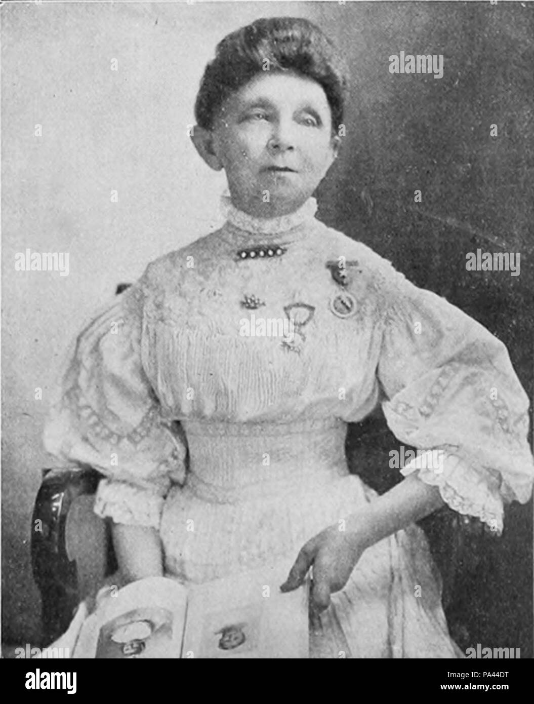 350 Cornelia Zweig Stein - 1908 Stockfoto
