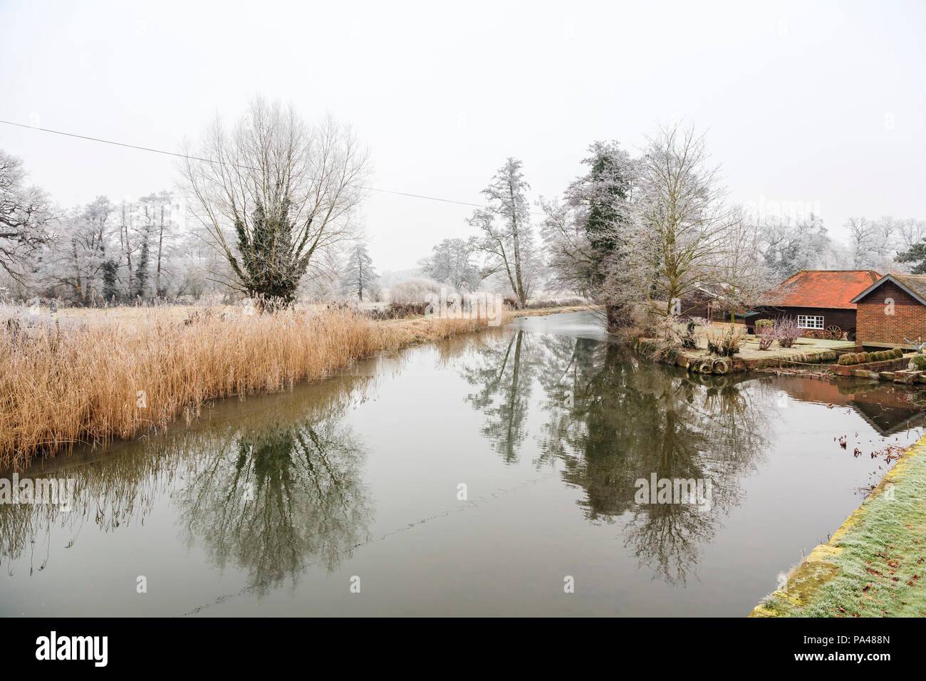 Ländlichen Surrey Winter Landschaft, Südost England, Fluss Wey in der Nähe von Pyrford bei niedrigen Temperaturen und Eisnebel, Spiegelungen der Bäume im Wasser Stockfoto