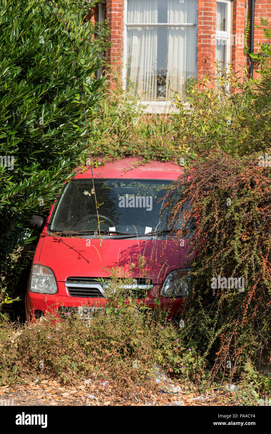 Bewachsene Büsche und Sträucher für einen kleinen roten Auto fast unter Laub auf einer Fahrstraße an einem Haus in desolaten Zustand versteckt Stockfoto