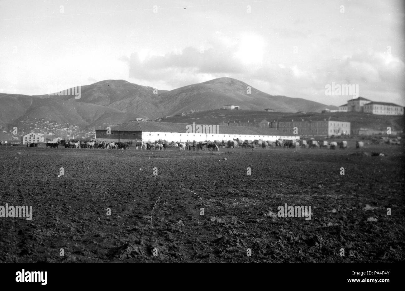652 Ersten Weltkrieg Fortepan 59222 Stockfoto