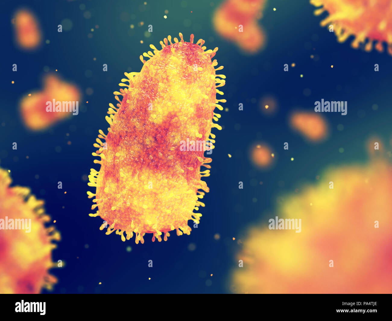 Tollwut ist eine tödliche virale Erkrankung des Nervensystems, Tollwut virus Infektion Stockfoto