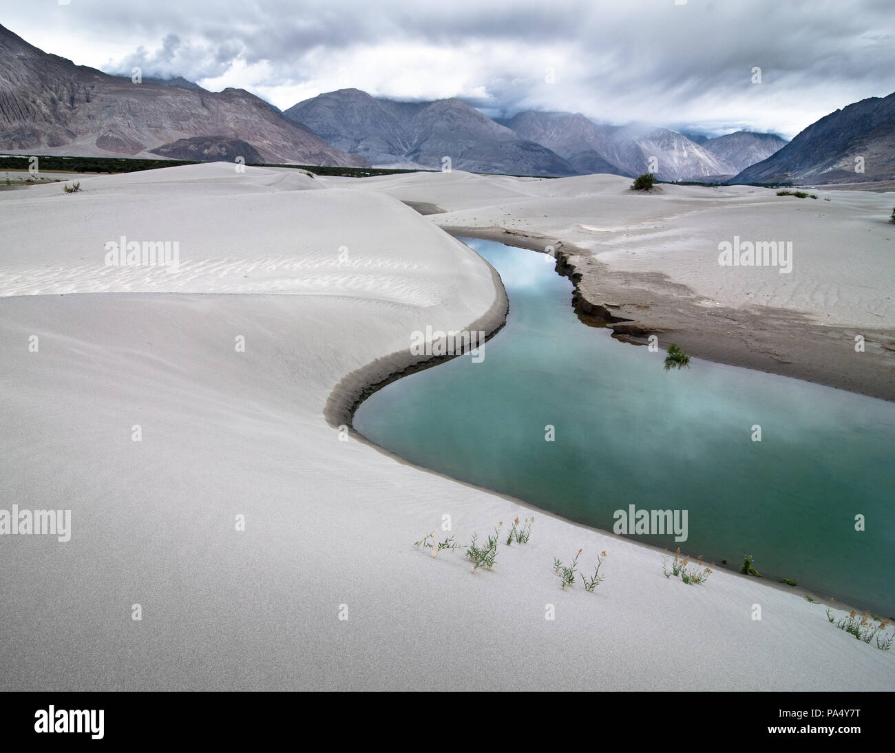 Sanddünen des Nubra Valley mit Fluss und Wüstenpflanze. Landschaft des Himalaya-Gebirges. Indien, Ladakh, Höhe 3100 m Stockfoto