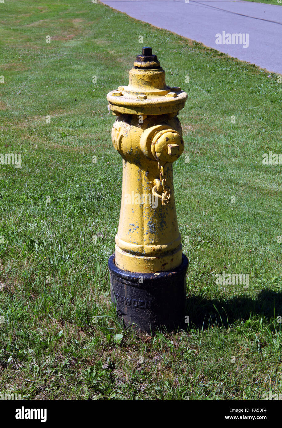 Einen gelben Hydranten auf dem Gras kurz auf die Toronto Islands, Ontario, Kanada Stockfoto