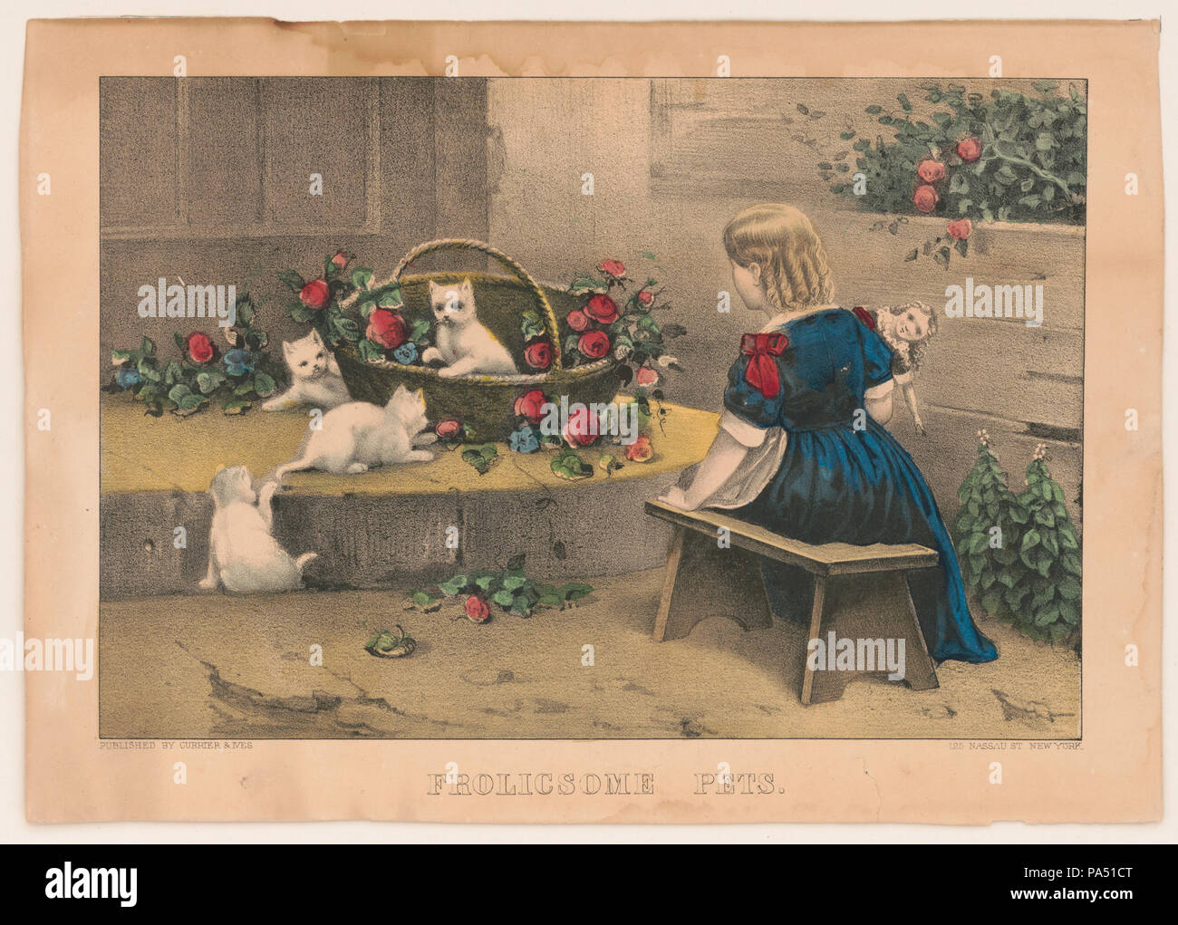 677 ausgelassen Haustiere LCCN 2001699762 Stockfoto