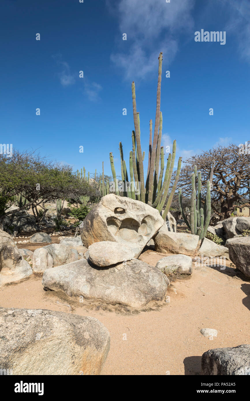 Casibari Felsformationen, Aruba, Karibik Stockfoto