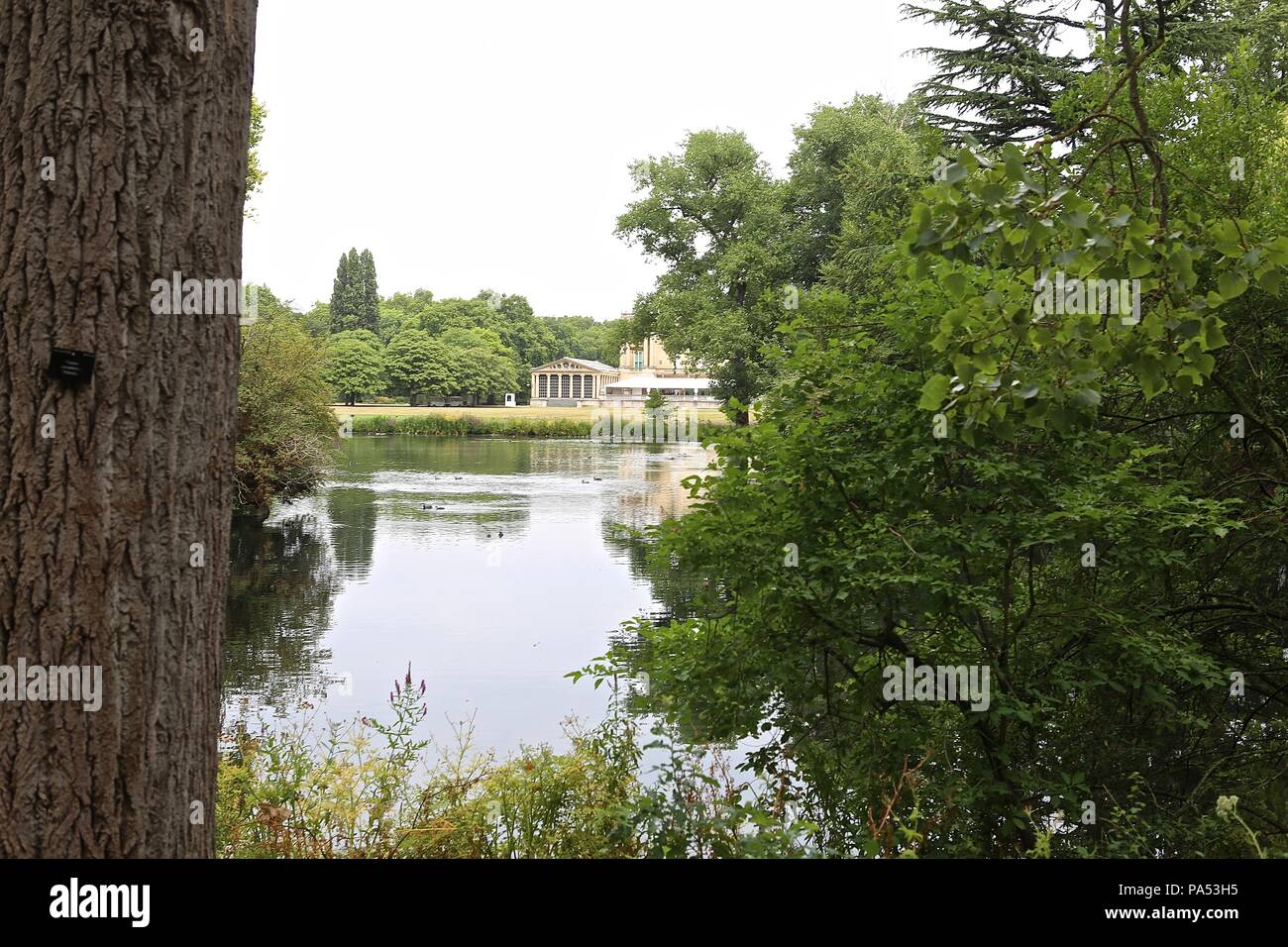 PRINCE & PATRON IM SOMMER ÖFFNUNG DER Buckingham Palast vom 20. Juli 2018 Stockfoto