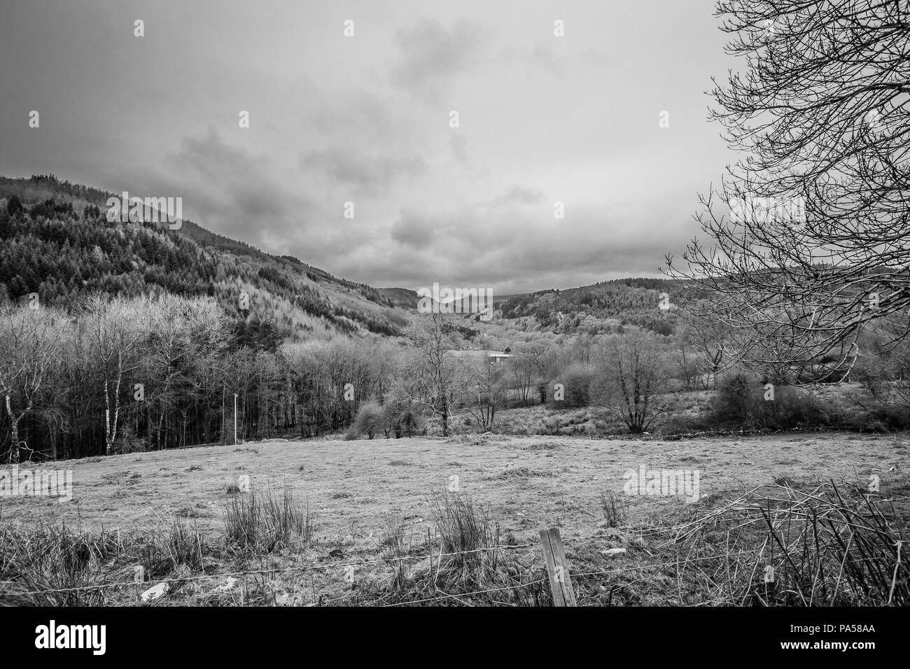 Schwarze und weiße Winterlandschaft der walisische Landschaft mit Hügel, Felder und Bäume Stockfoto