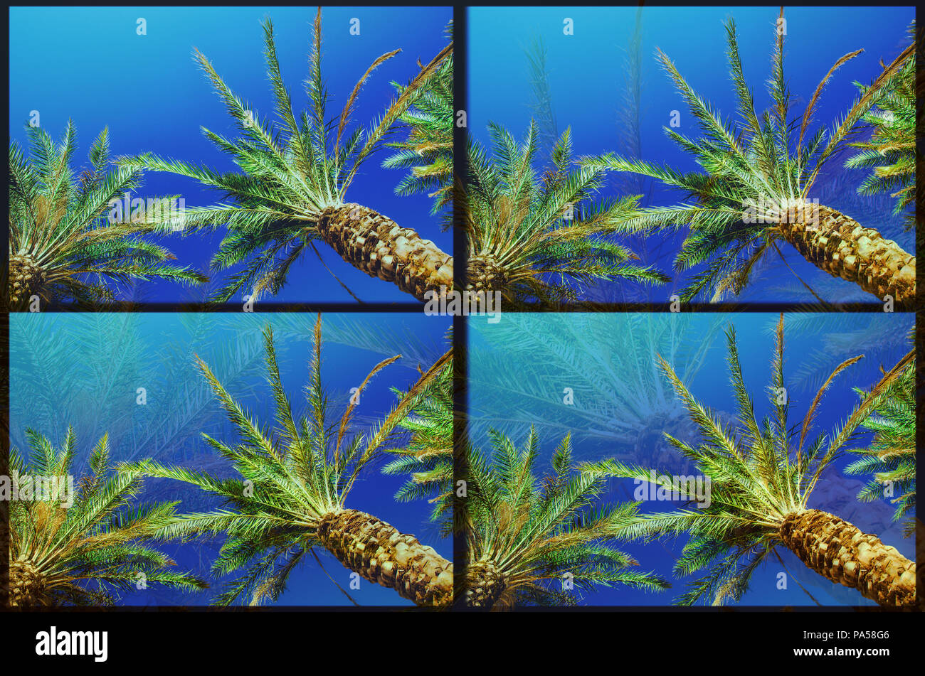 Glitch Effekt wegen Foto Bearbeitung auf einem Bild mit Palmen und das Meer. Stockfoto