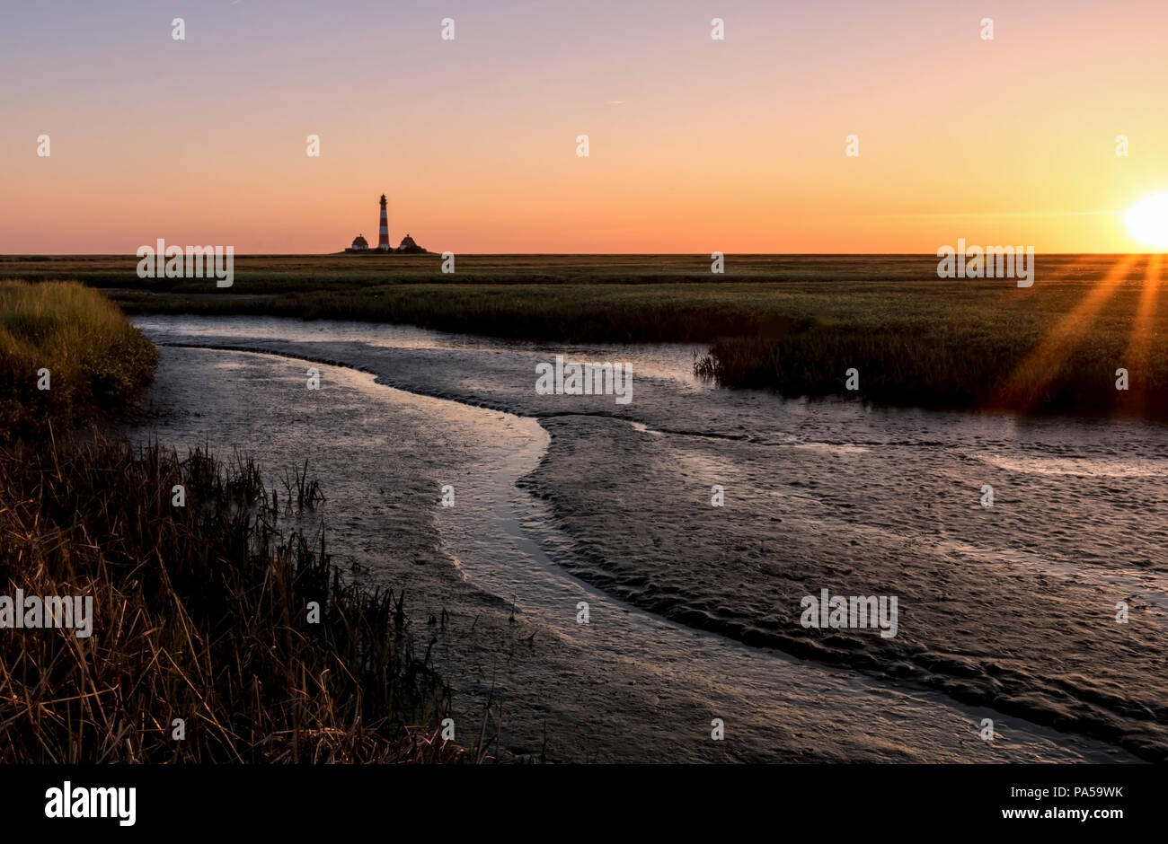 Salzwiesen bei westerhever mit Leuchtturm bei Sonnenuntergang Stockfoto