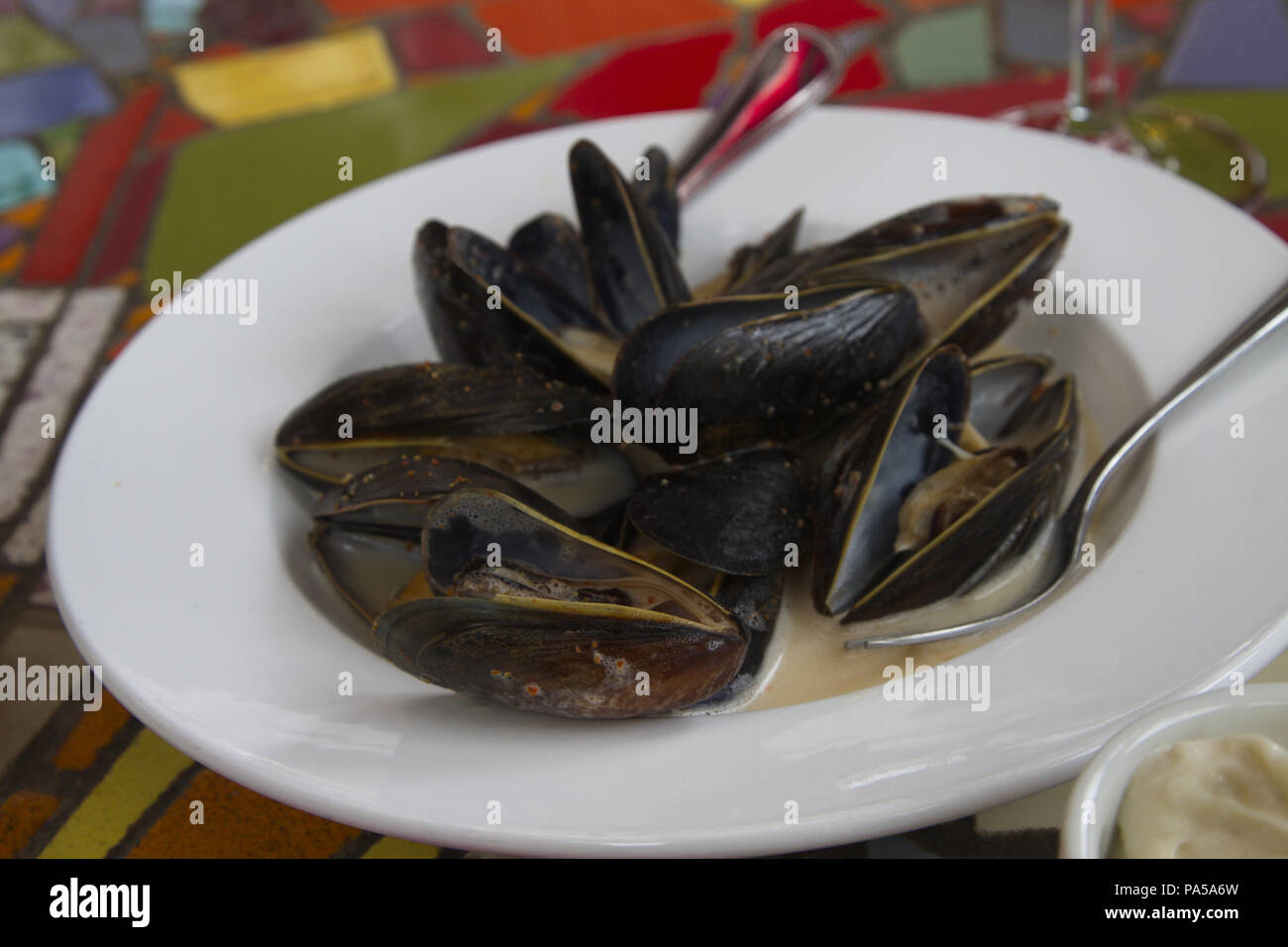 Frisch gedämpfte Miesmuscheln in Weiß Teller eine attraktive und gesunde Präsentation im Querformat bieten Stockfoto