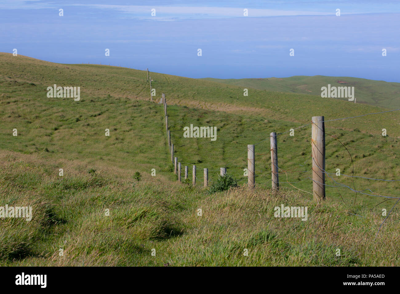 Bauernhof Zaun auf Pitt Island, Chatham Inseln Stockfoto