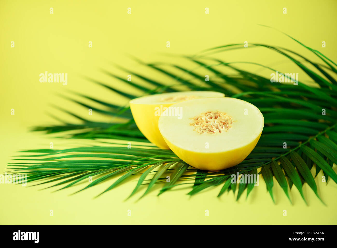 Sweet Melone über tropical Green Palm Blätter auf gelben Hintergrund. Kopieren Sie Platz. Pop Art Design, kreative Sommer Konzept. Raw vegan Essen Stockfoto