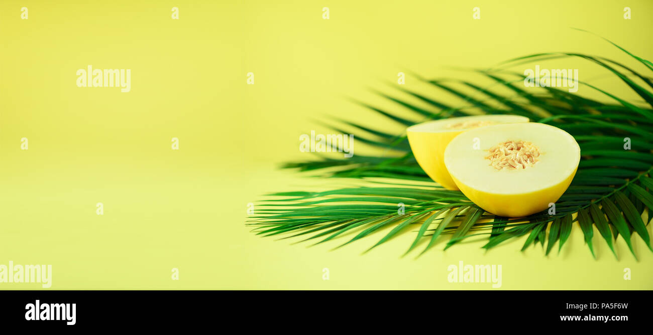 Sweet Melone über tropical Green Palm Blätter auf gelben Hintergrund. Kopieren Sie Platz. Pop Art Design, kreative Sommer Konzept. Raw Vegan essen. Banner. Stockfoto
