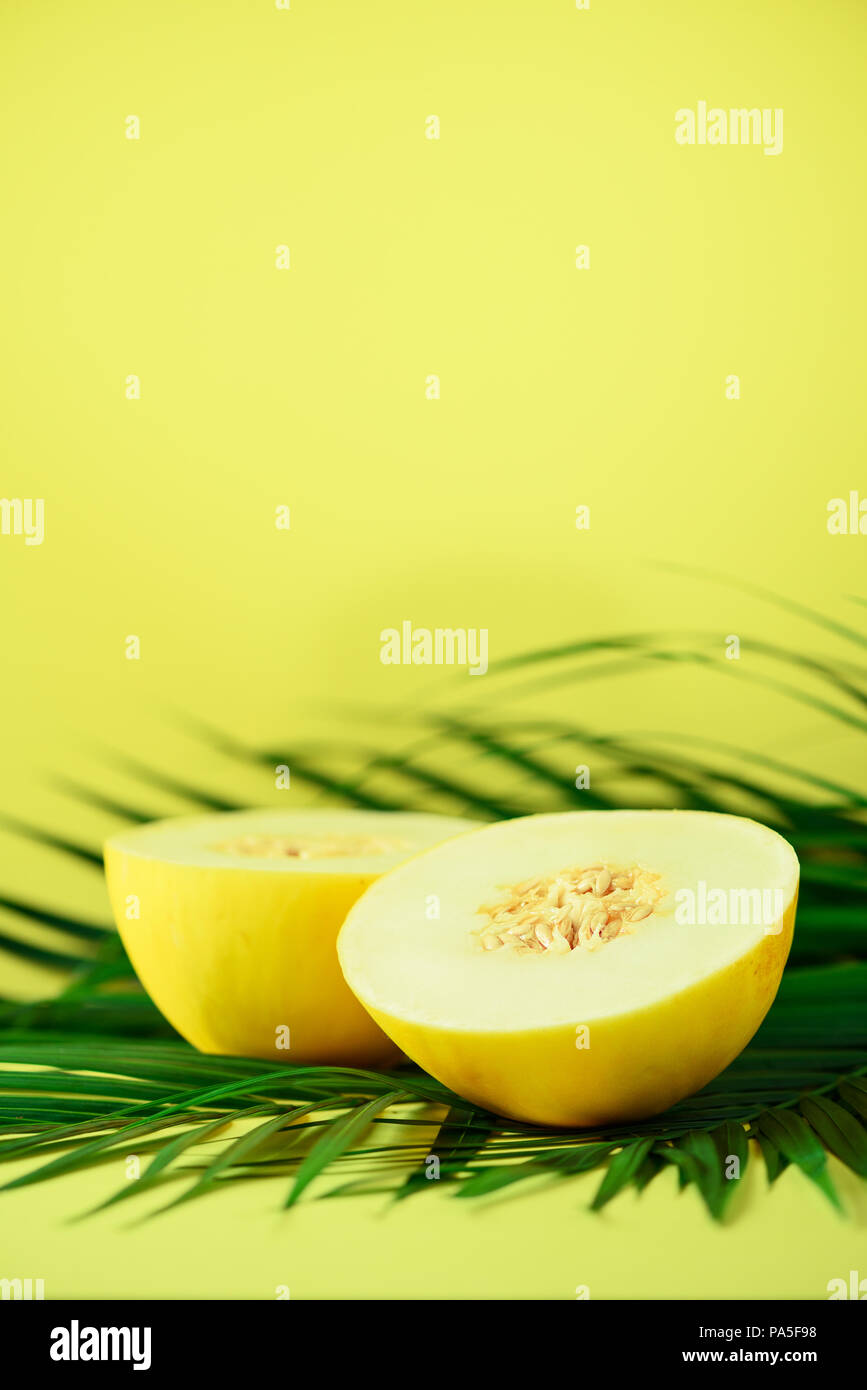 Sweet Melone über tropical Green Palm Blätter auf gelben Hintergrund. Kopieren Sie Platz. Pop Art Design, kreative Sommer Konzept. Raw vegan Essen Stockfoto