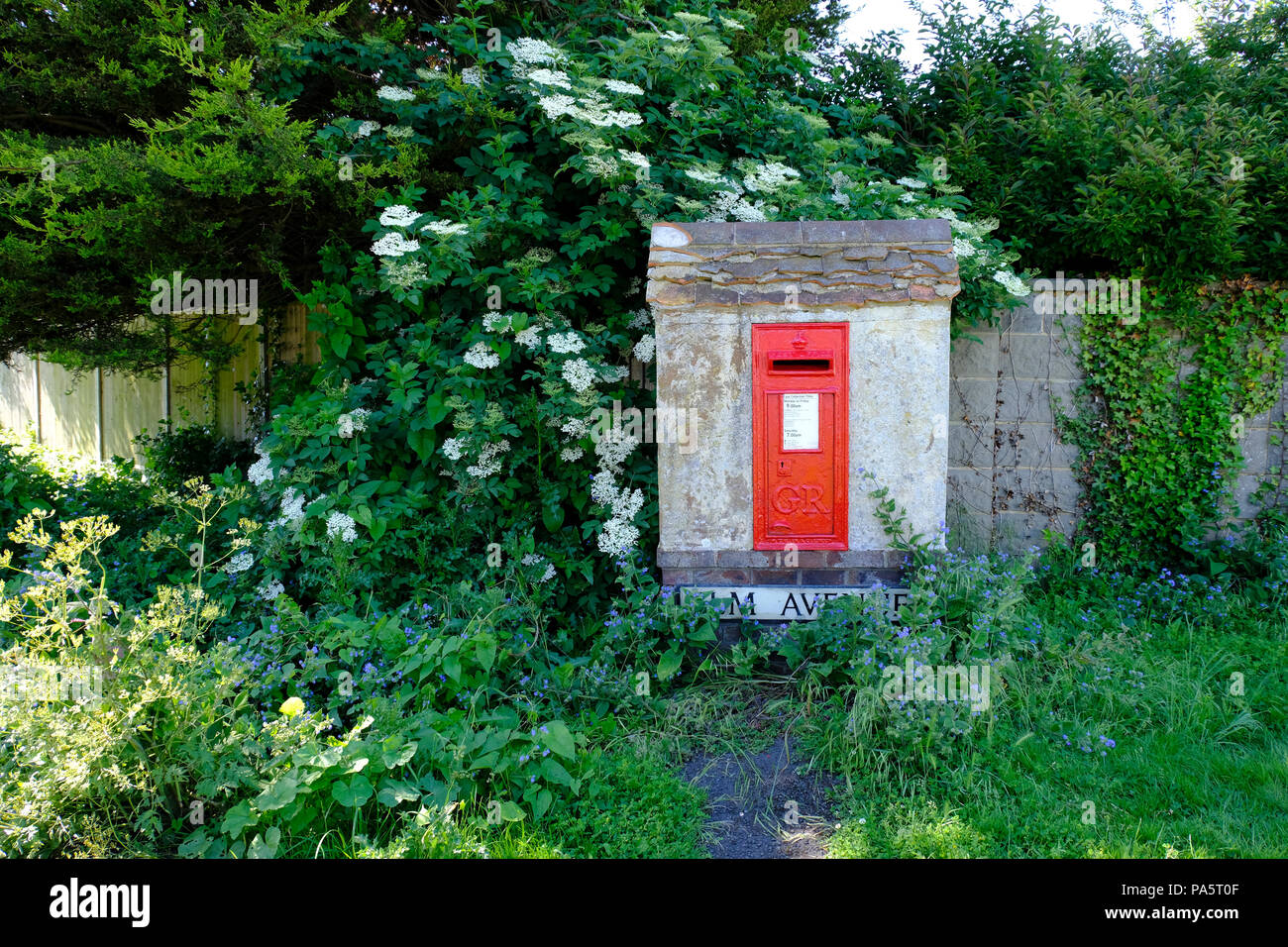 Mauereinputz Letter Box von blühenden Pflanzen umgeben Stockfoto