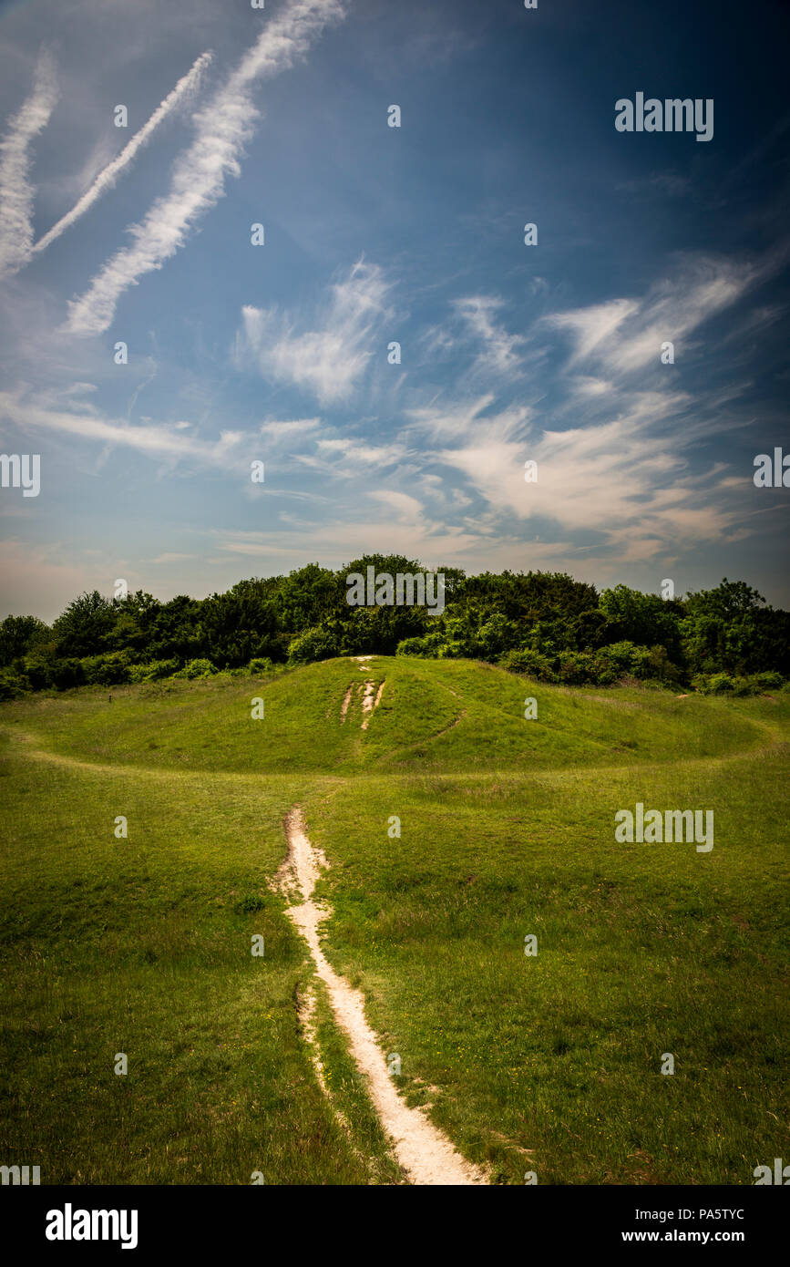 Bronzezeit Barrow in Kingley Vale, Chichester, West Sussex, Großbritannien Stockfoto