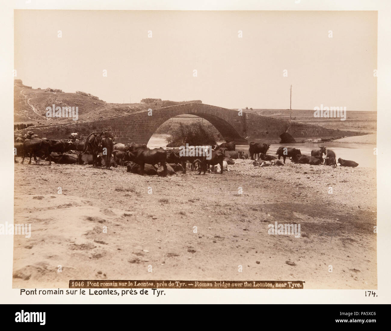 Inv.Nr: LXVI: N. 174. 90 Fotografi från Libanon - Hallwylska museet - 104298 Stockfoto
