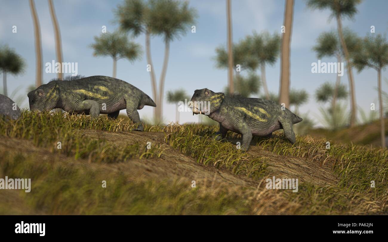 3D-Rendering von lystrosaurus auf grasbewachsenen Gelände Stockfoto