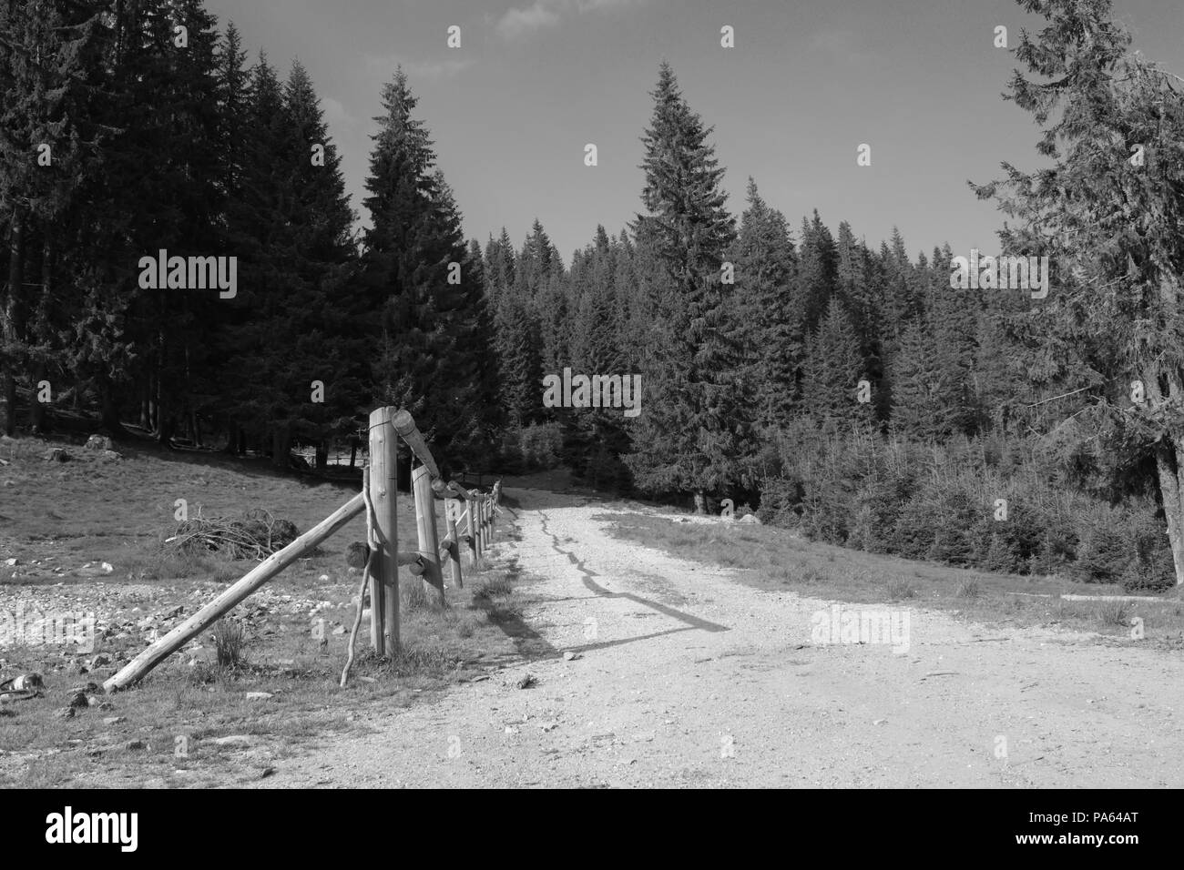 Der Weg in den Berg Stockfoto