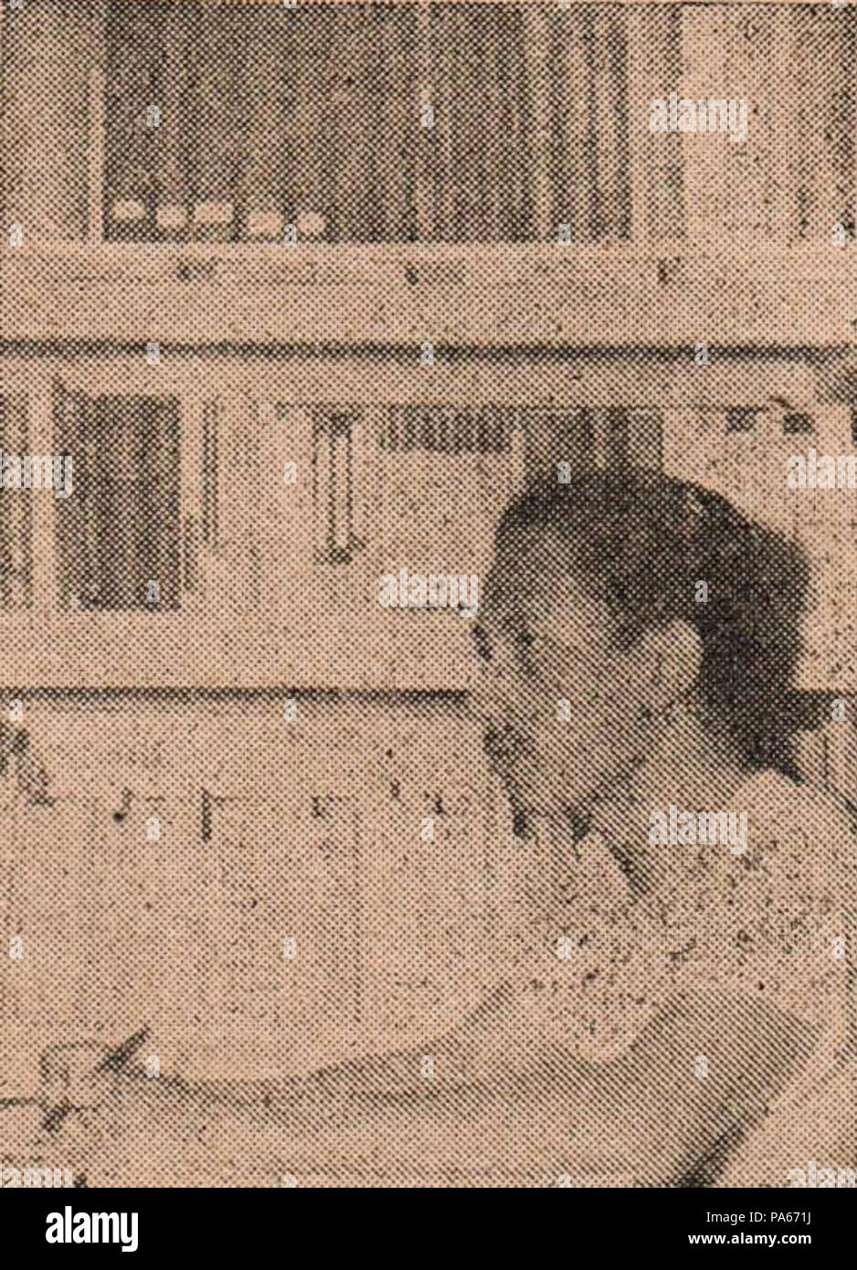 146 Kasim Mansur, Tifa 1.3., p 24. Stockfoto