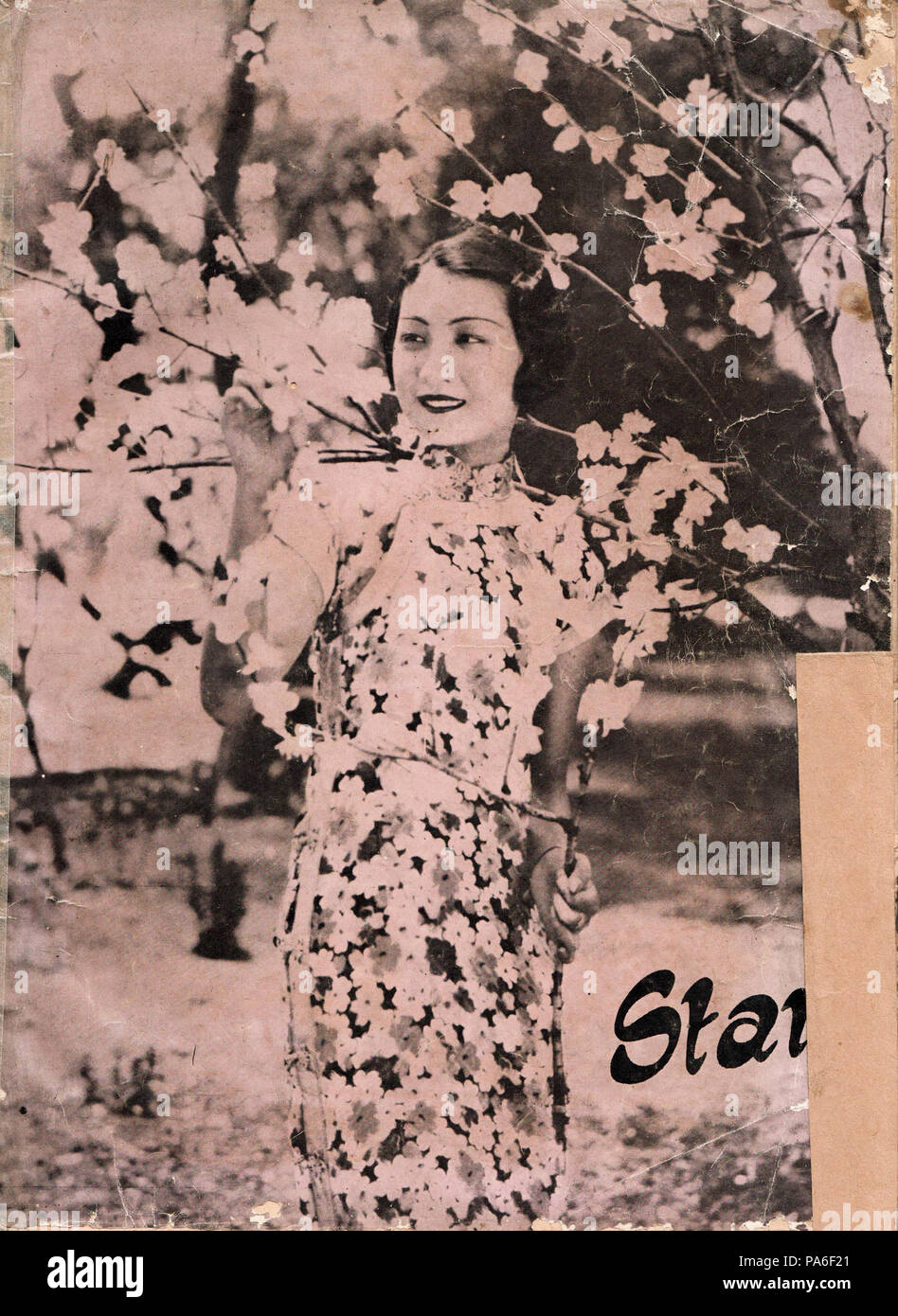 332 Frau mit Blume, stern Magazin 2.20 (August 1940), außerhalb der vorderen Abdeckung Stockfoto