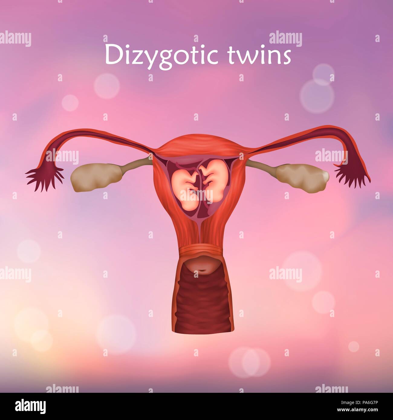 Zweieiige zwillinge Fotos und Bildmaterial in hoher Auflösung Alamy