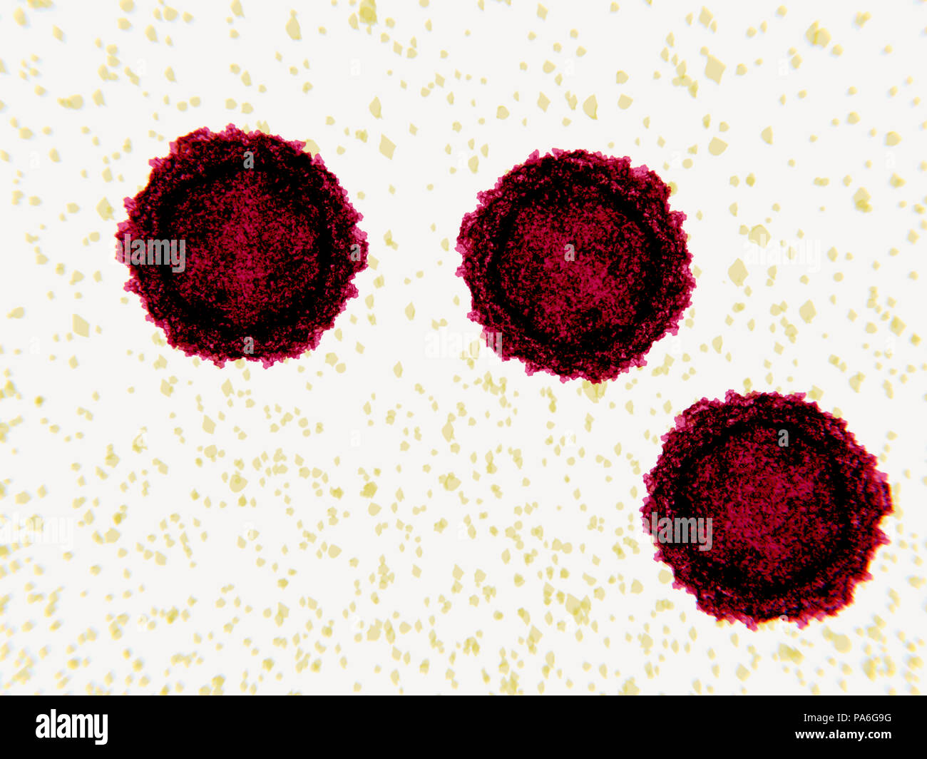 Poliovirus Polio Stockfotos und bilder Kaufen Alamy