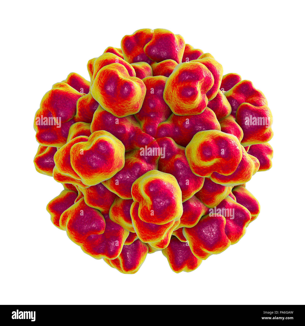 Hepatitis e virus kapsid Fotos und Bildmaterial in hoher Auflösung