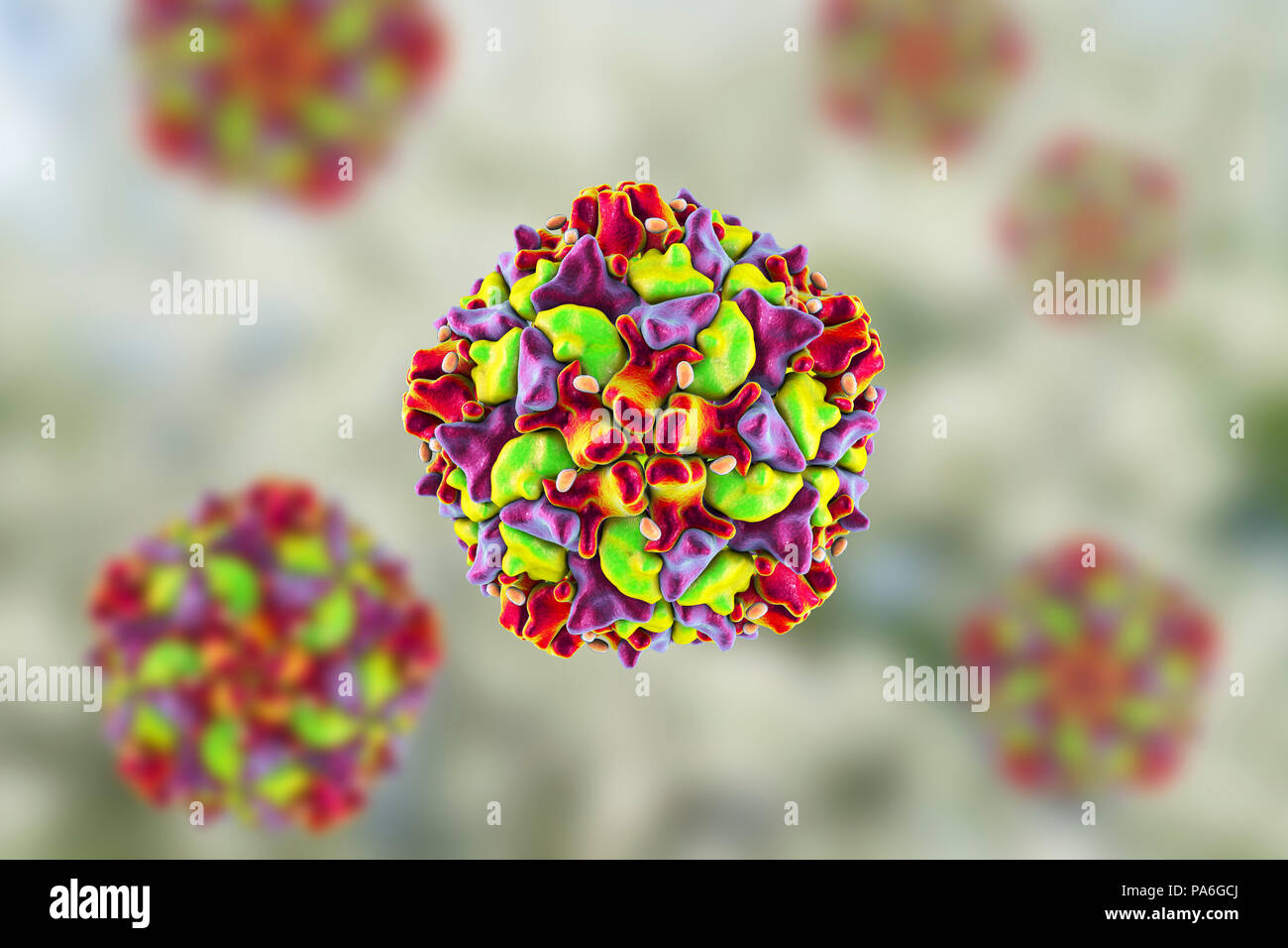 Polio virus Partikel, computer Abbildung. Polio Viruspartikel (Virionen) bestehen aus einer äusseren Proteinmantel (Kapsid) begrenzenden RNA (Ribonukleinsäure), das genetische Material des Virus. Polio Virus verursacht Poliomyelitis, eine Krankheit, zerstört die motorischen Neuronen (Nervenzellen), die Muskeln für das Schlucken, Kreislauf, Atmung, Leib und Bewegung. Fälle um 99% seit 1988 dank der globalen Anstrengungen zur Tilgung der Seuche gefallen. Stockfoto