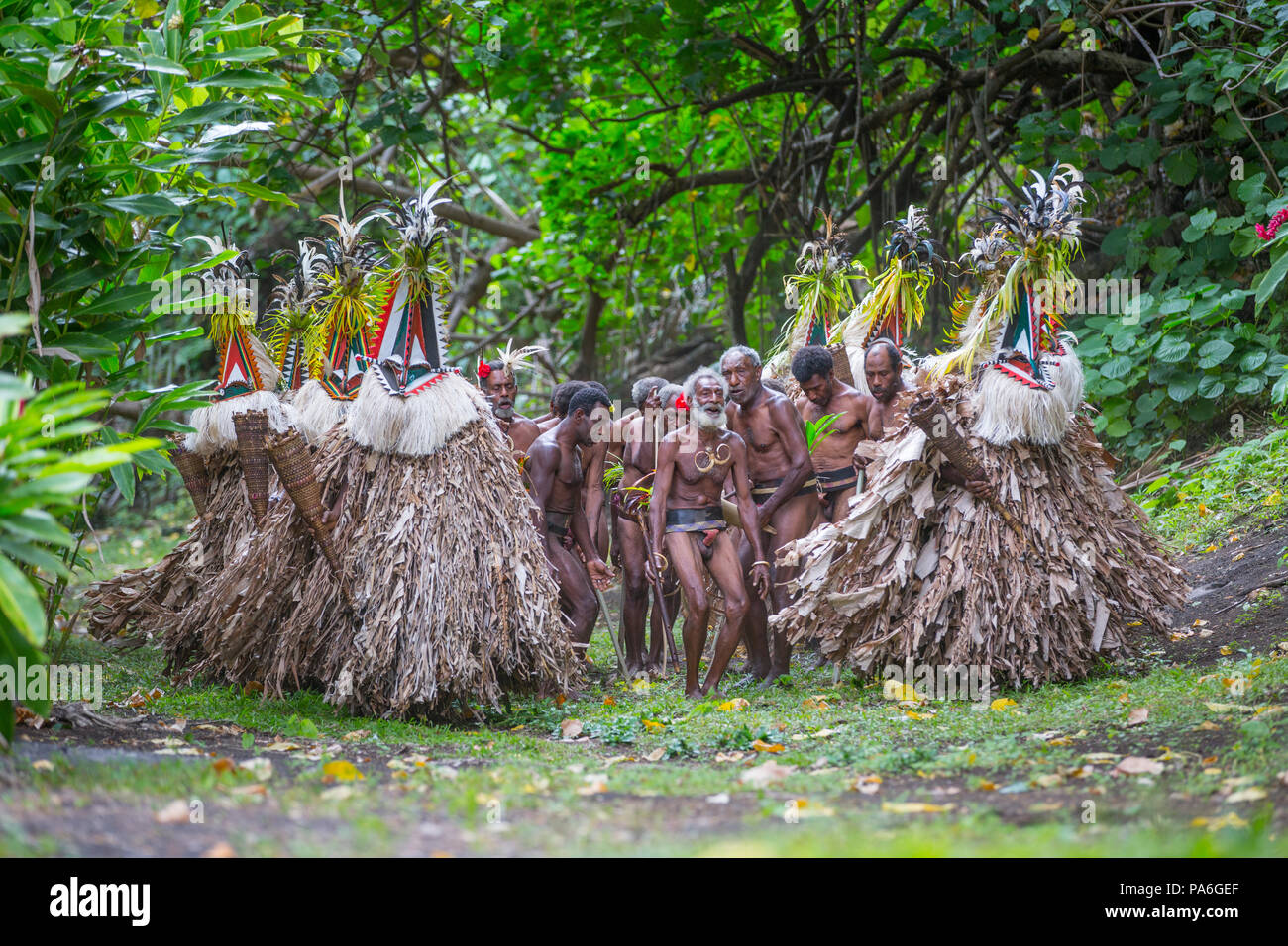 Rom-Tanz, Insel Ambrym, Vanuatu Stockfoto