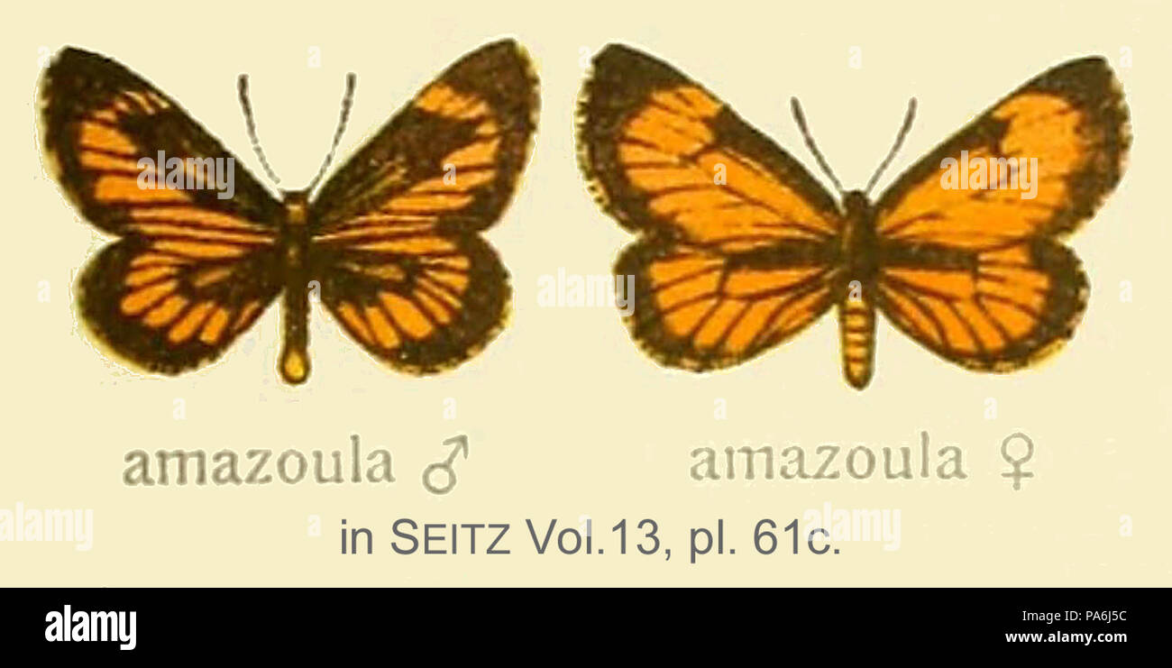 120 Amazoula inSeitzVol 13. Stockfoto