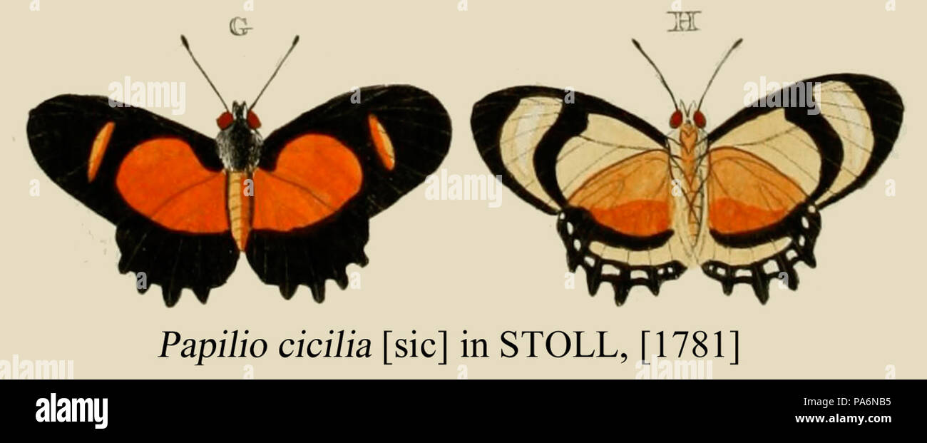 313 Cicilia inStoll 1781 Stockfoto